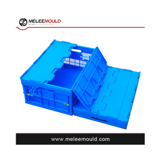 Plastic Injection Foldable Crate Mould mold
